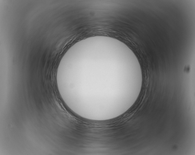 X0000112460280200908171023