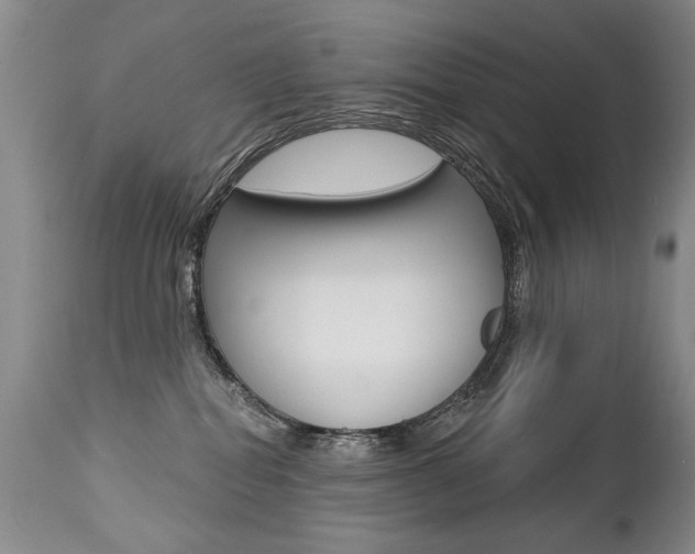 X0000112460282200908171023