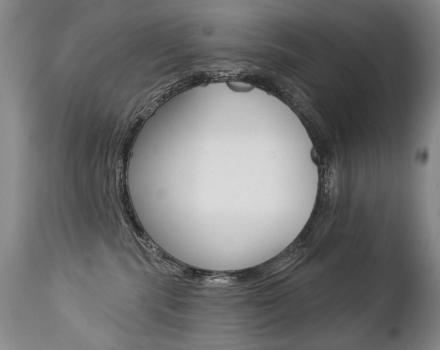 X0000112460283200908171023