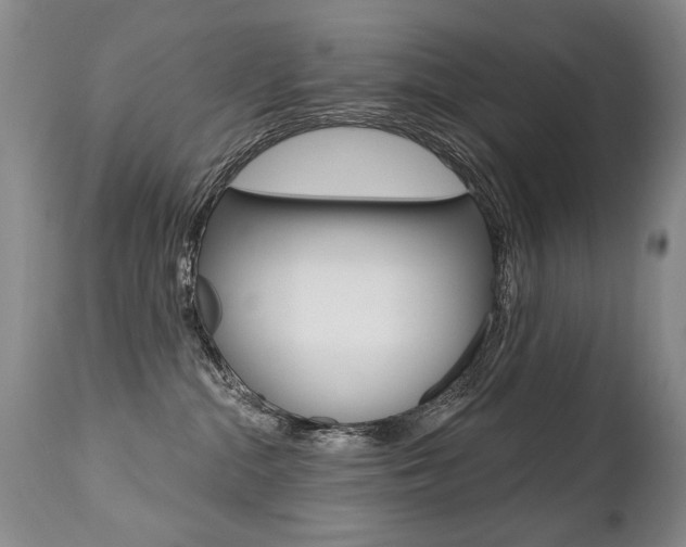X0000112460284200908171023