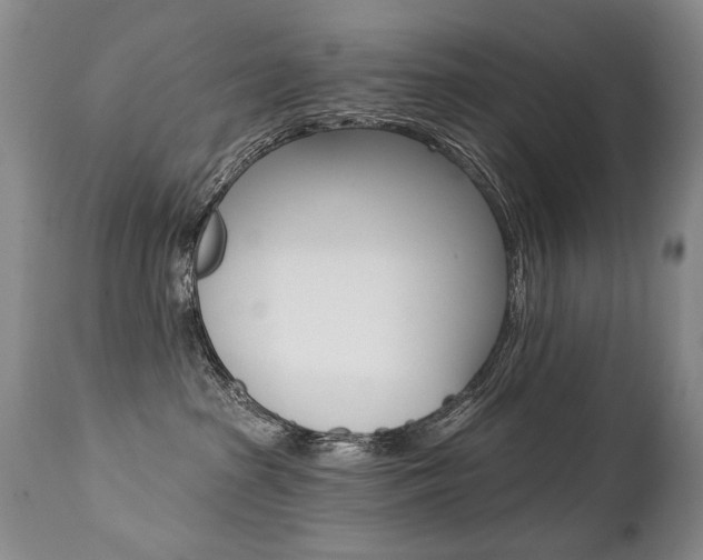 X0000112460285200908171023