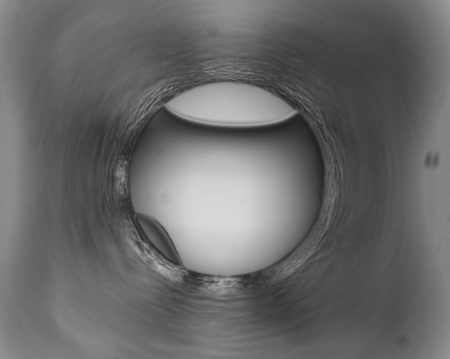 X0000112460288200908171023