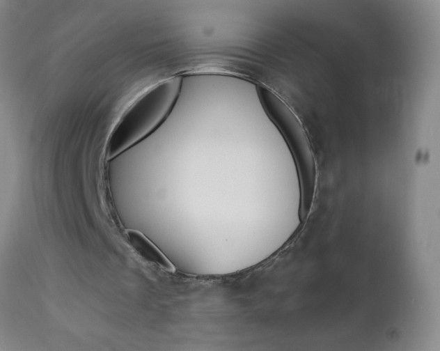 X0000112460289200908171023