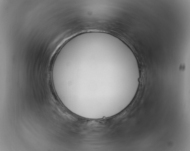 X0000112460290200908171023