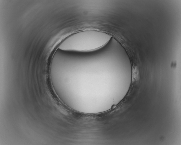 X0000112460291200908171023