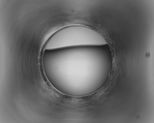 X0000112460292200908171023