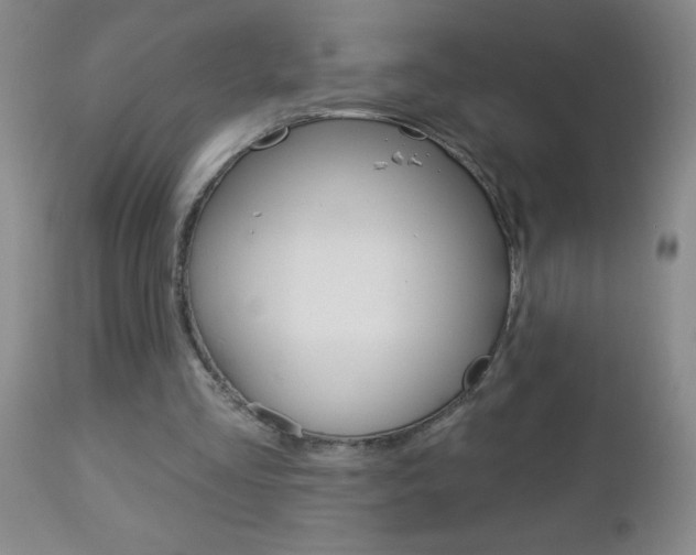 X0000112460293200908171023