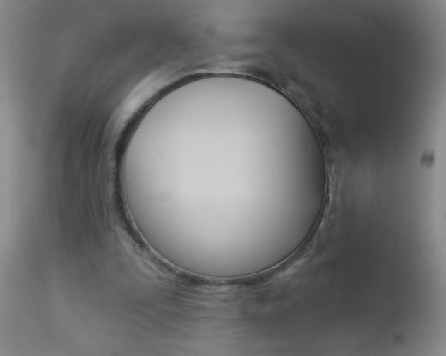 X0000112460295200908171023