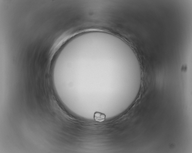 X0000112460296200908171022