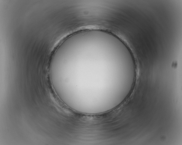 X0000112460297200908171022