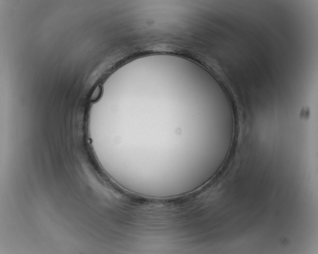 X0000112460299200908171022