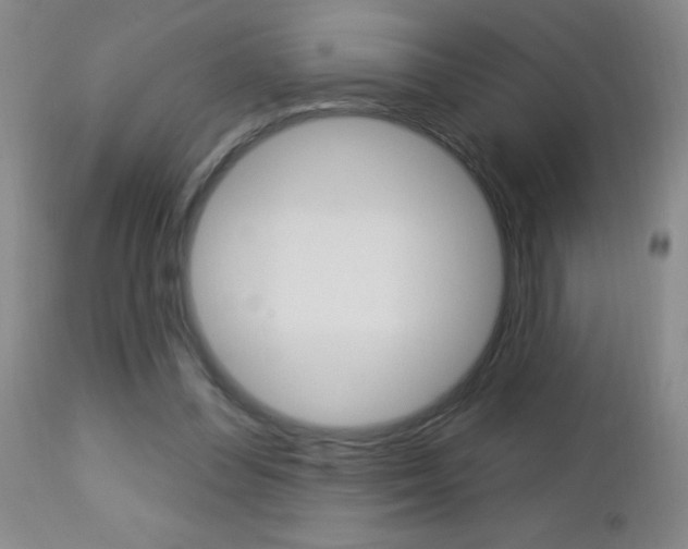 X0000112460300200908171022