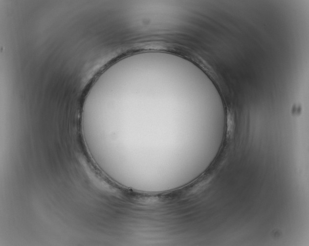 X0000112460301200908171022
