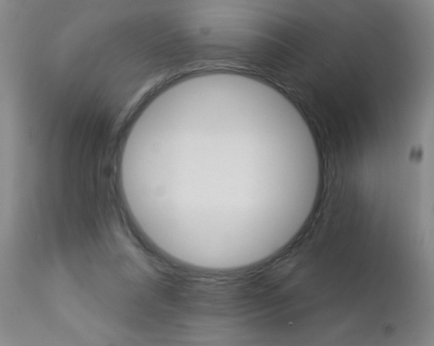 X0000112460304200908171022