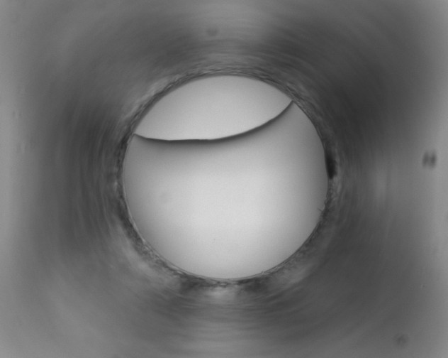 X0000112460306200908171022