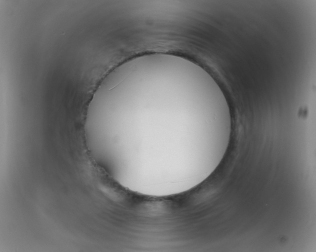 X0000112460307200908171022