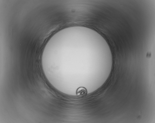 X0000112460308200908171022