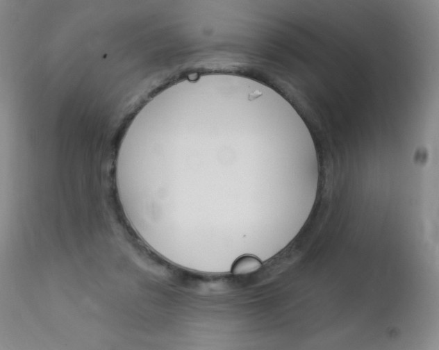 X0000112460309200908171022