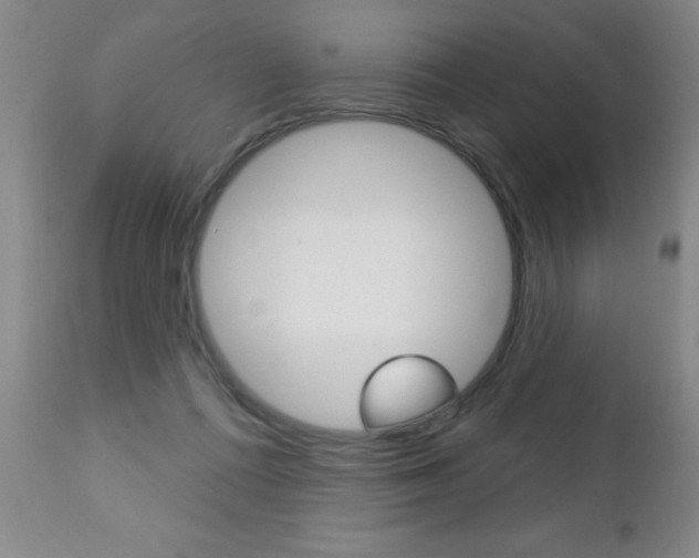 X0000112460312200908171022