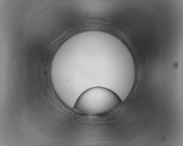 X0000112460313200908171022