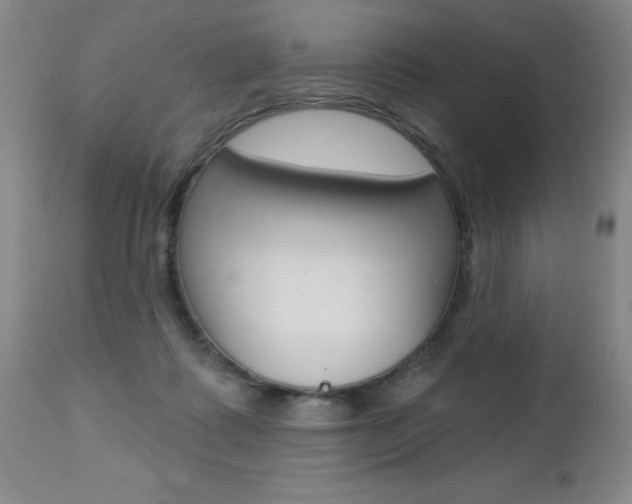 X0000112460315200908171022