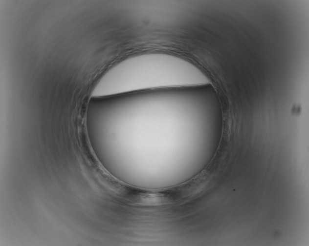 X0000112460316200908171022