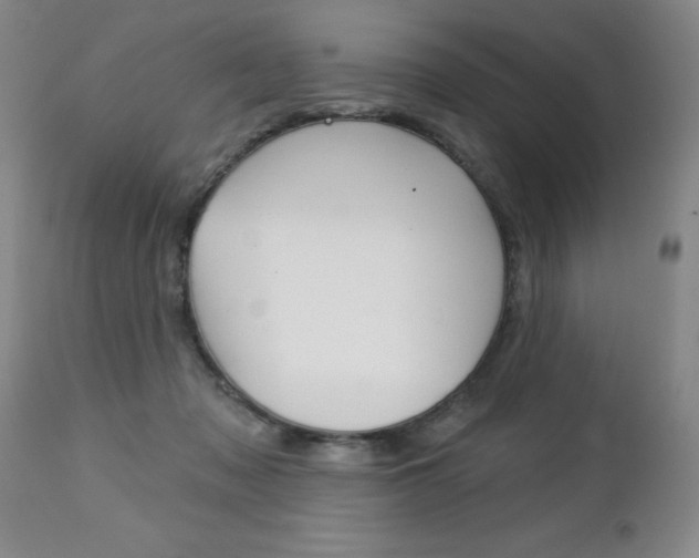 X0000112460317200908171022