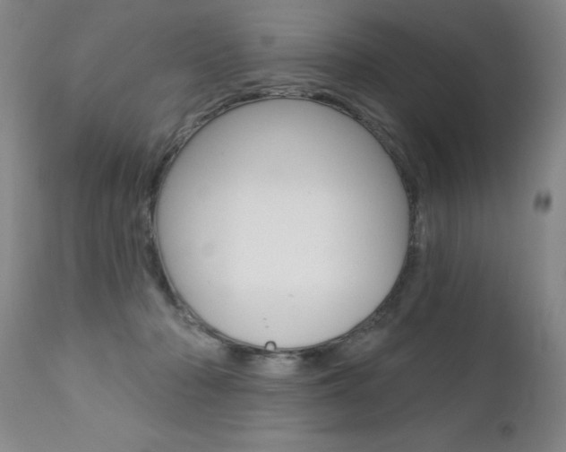 X0000112460318200908171022