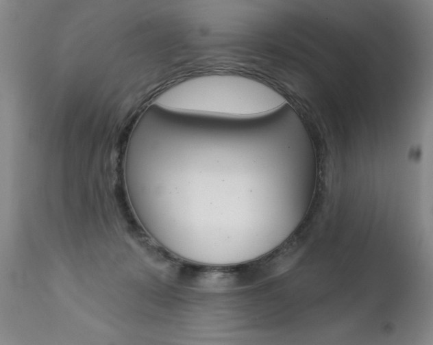 X0000112460319200908171022