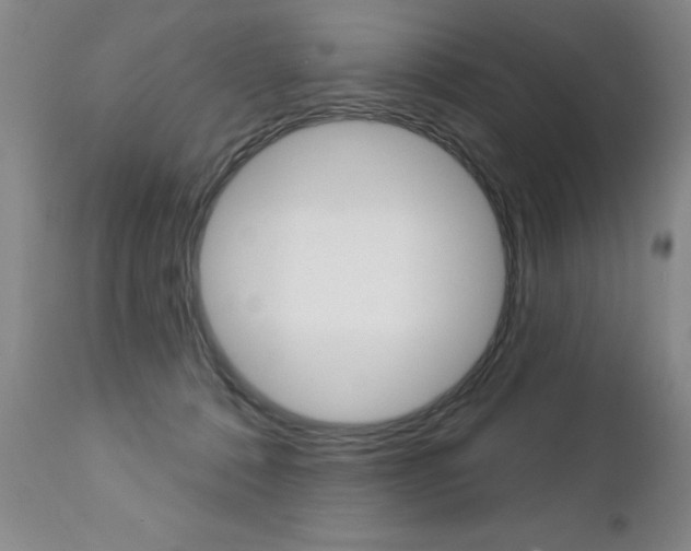 X0000112460320200908171022