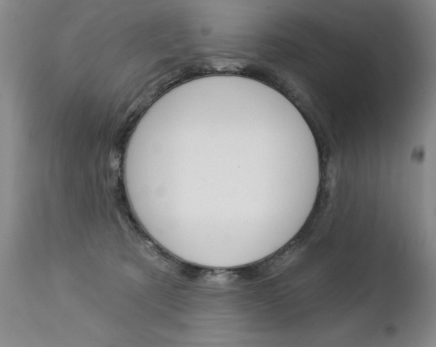 X0000112460321200908171022