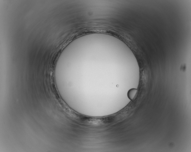 X0000112460322200908171022