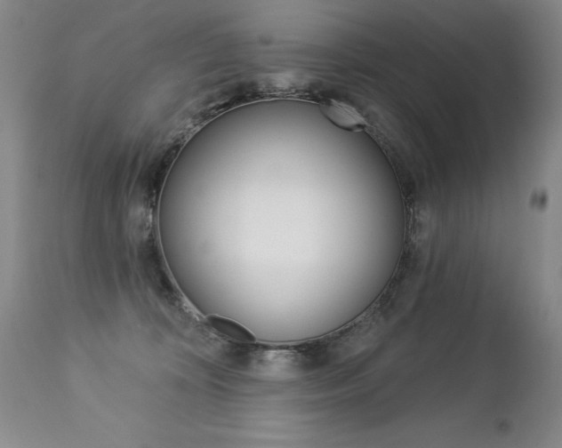 X0000112460324200908171022