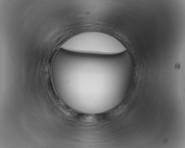 X0000112460325200908171022