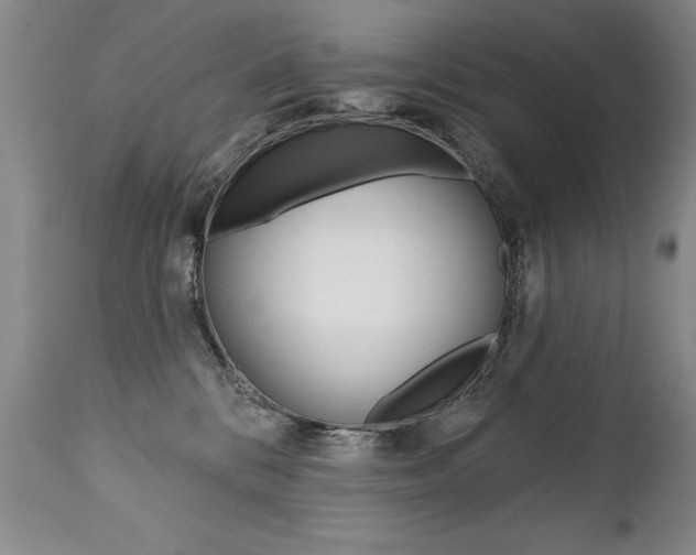 X0000112460328200908171022