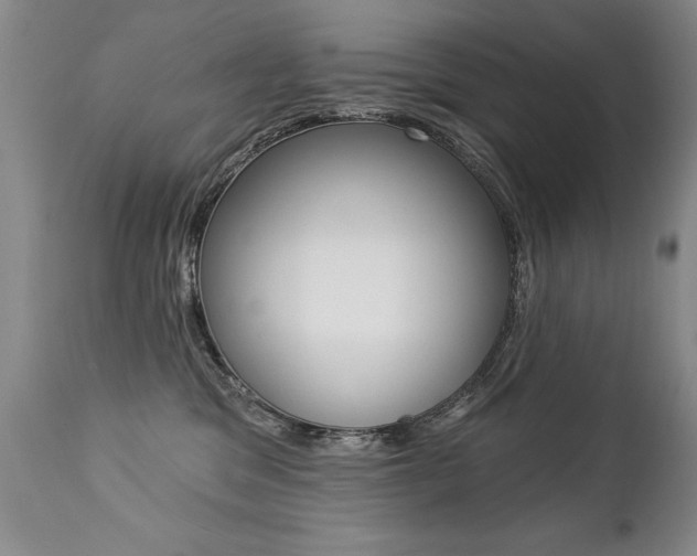 X0000112460329200908171022