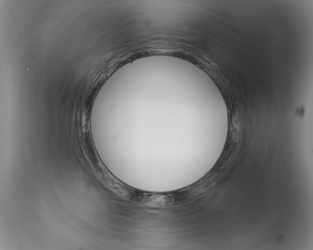 X0000112460330200908171022