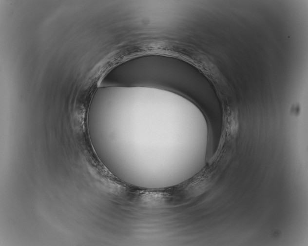 X0000112460332200908171022