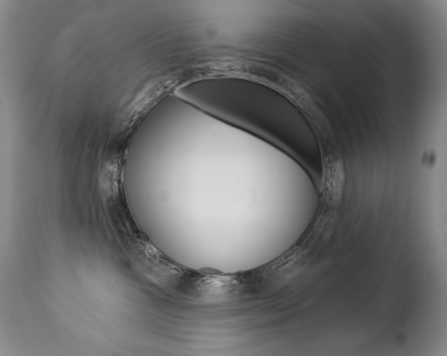 X0000112460333200908171022