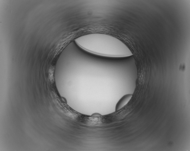 X0000112460335200908171022