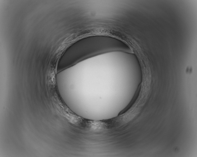 X0000112460336200908171022