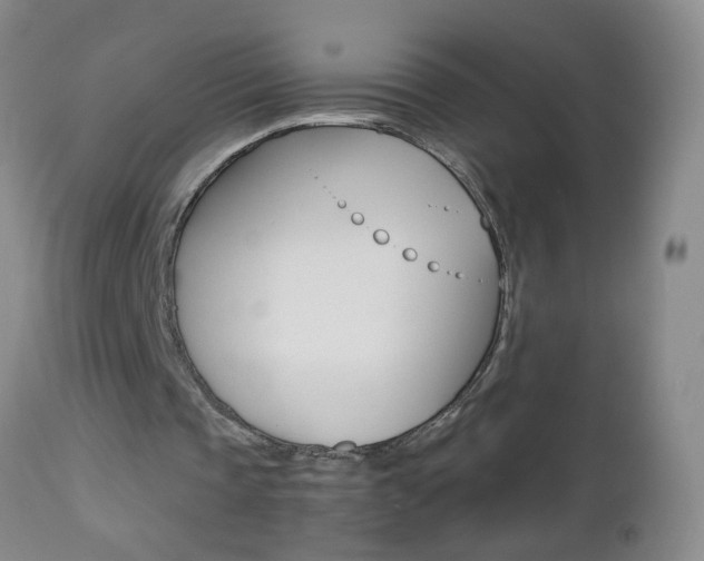 X0000112460337200908171021