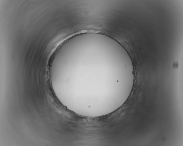 X0000112460338200908171021