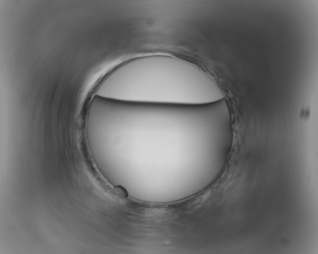 X0000112460342200908171021