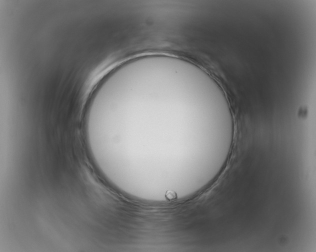 X0000112460344200908171021
