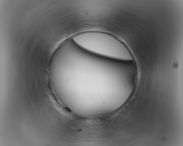 X0000112460345200908171021