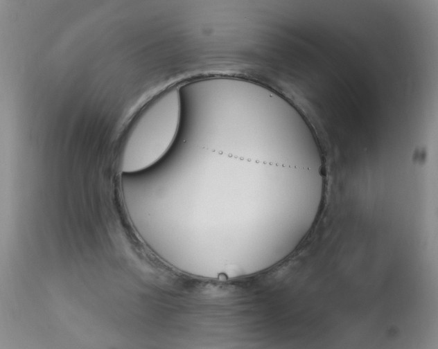 X0000112460346200908171021