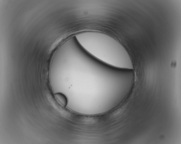 X0000112460349200908171021