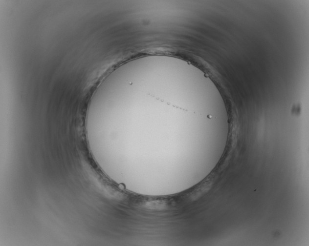 X0000112460353200908171022