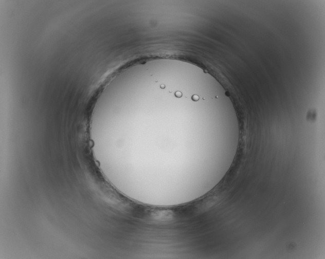X0000112460355200908171022